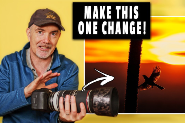 Mastering the Wild: Your Wildlife Photography Course